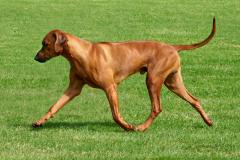 015-BE-20230527-Marjolijn-Strucks-bewerkt001