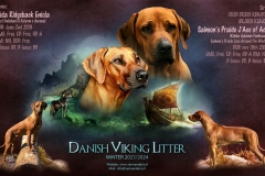 wende-litter-2023-2